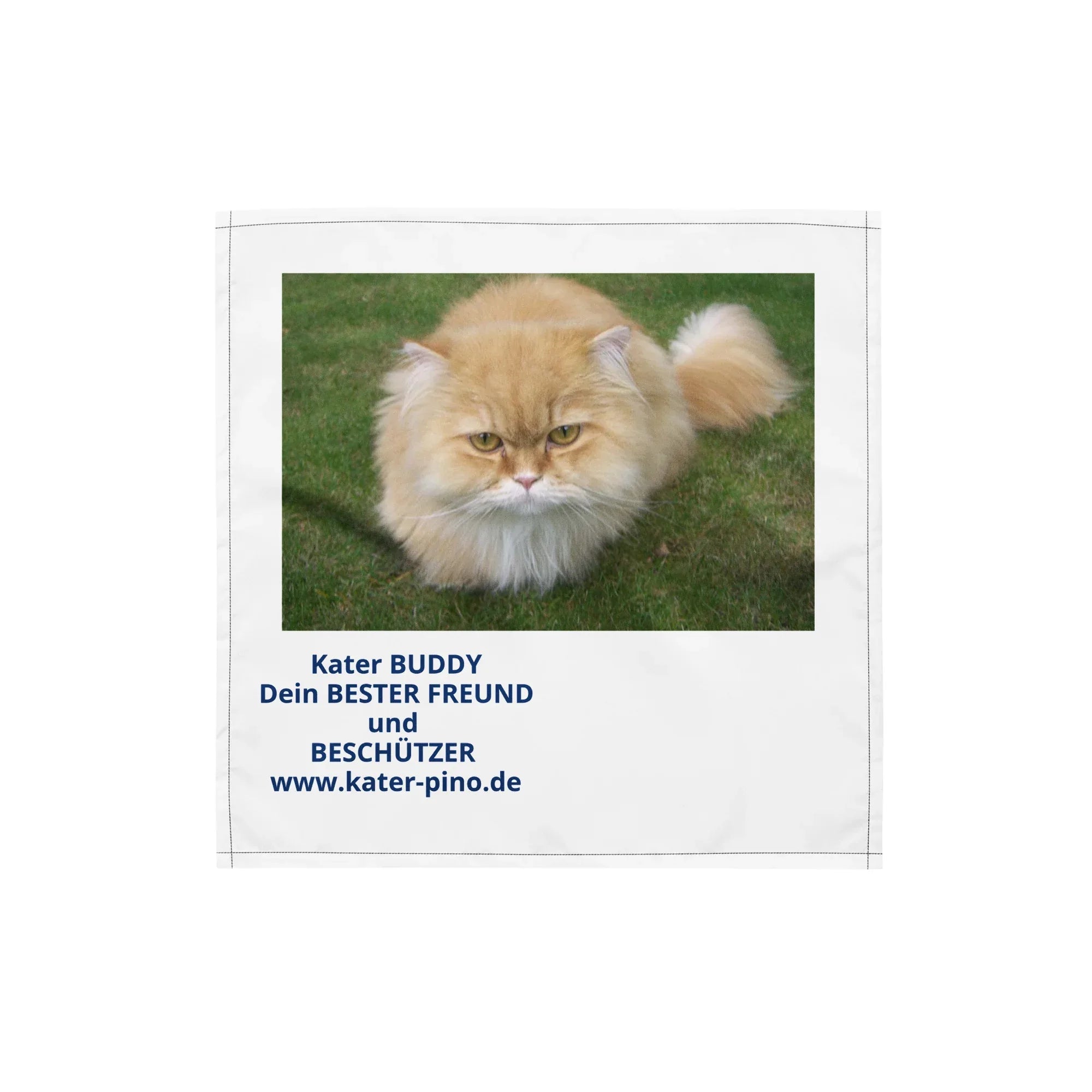Bandana für Katze & Hund - Kater Buddy, Dein Freund und Beschützer. Stylisches Haustier-Accessoire mit Allover-Print. Tolles Geschenk. Jetzt bei 